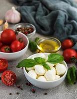 Italian food ingredients photo