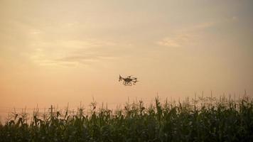 drones agrícolas volando y rociando fertilizantes y pesticidas sobre tierras de cultivo, innovaciones de alta tecnología y agricultura inteligente foto