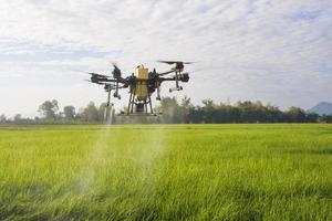 drones agrícolas volando y rociando fertilizantes y pesticidas sobre tierras de cultivo, innovaciones de alta tecnología y agricultura inteligente foto