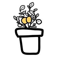 Simple outline lemon citrus plant in flowerpot. Vector doodle sketch drawing. Botanical illustration isolated on white. Line art icon. Exotic tropical tree fruit.