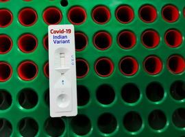 Rapid screening test for Covid-19 variant. indian ariant photo