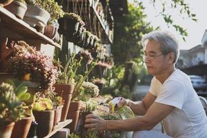 anciano asiático regando plantas suculentas en el jardín de su casa