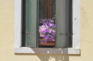 ventana antigua con flores foto