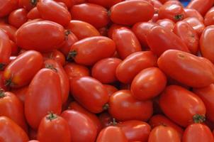 Tomato vegetables background photo