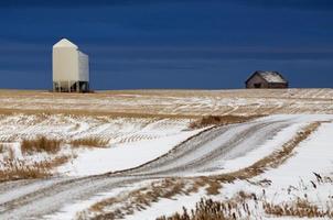 paisaje de pradera en invierno foto
