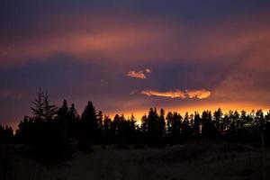 puesta de sol de las colinas de cipreses foto