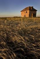 Abandoned Stone House photo