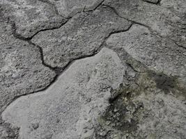 Cerrar caminos de pavimentación de ladrillo agrietado y sucio foto