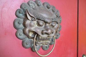 carved lion head face on the door