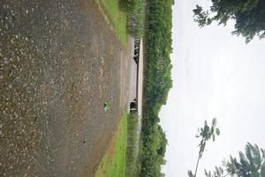 platform board in the middle of the mangrove swamp photo