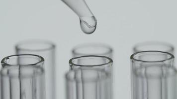 Close up of laboratory scientist working with a pipette analyzes and extract the DNA or molecules in the test tubes.on blur background with virtual interface video