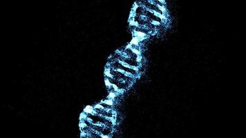 Modern medical concept.DNA molecule on black background in 4K