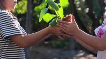 Cute little girl gives her sister a small plant in a pot with green background spring ecology concept. World Environment Day. video