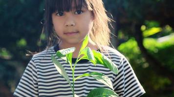 Cute asian little child girl holding young tree in pot against green background spring ecology concept. World environment day. video