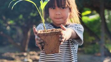 menina asiática bonitinha segurando a árvore jovem no pote contra o conceito de ecologia de primavera de fundo verde. dia Mundial do Meio Ambiente. video