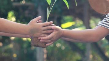 schattig klein meisje geeft haar zus een plantje in een pot met groene achtergrond lente ecologie concept. wereld Milieu Dag. video