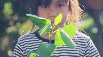 Cute asian little child girl holding young tree in pot against green background spring ecology concept. World environment day. video