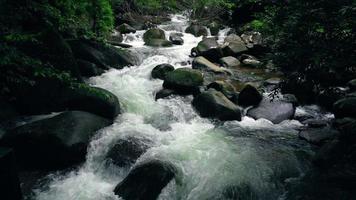 vackert naturligt vattenfall och grön skog i bergskonceptet som reser och kopplar av på semester. video
