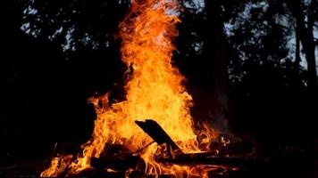 verbrannte Holzplatten. ein Holzhaufen brannte. video