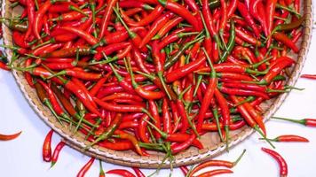 Ripe red chillies, spices of Thailand for cooking video