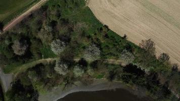 Aerial top down view of blooming trees in 4K video