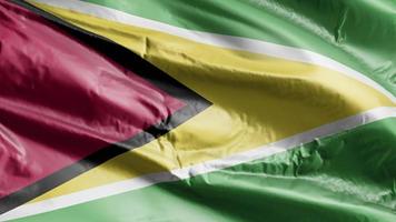 Guyana-vlag zwaait op de windlus. Guyanese banner zwaaiend op de wind. volledige vulling achtergrond. 10 seconden lus. video