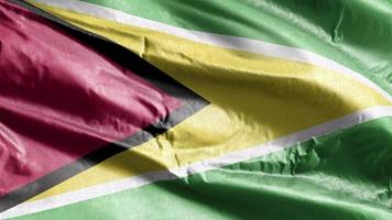 Guyana textiel vlag zwaaien op de wind-lus. Guyanese banner zwaaiend op de wind. stof textiel weefsel. volledige vulling achtergrond. 10 seconden lus. video