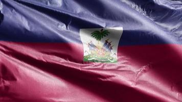 haiti textilflagga långsamt viftande på vindslingan. haitisk banderoll svajar smidigt på vinden. tyg textilvävnad. full fyllning bakgrund. 20 sekunders loop. video