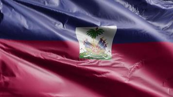 Haiti flag slow waving on the wind loop. Haitian banner smoothly swaying on the breeze. Full filling background. 20 seconds loop. video