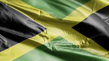 jamaica flaggan vajar på vindslingan. jamaicansk banner vajande på vinden. full fyllning bakgrund. 10 sekunders loop. video