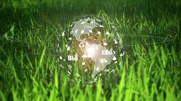 la tierra sobre fondo de hierba verde con holograma de signo de ecología ambiental en natural video