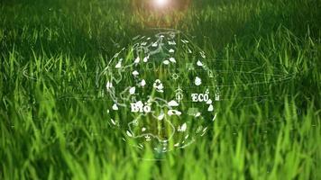 die erde auf grünem grashintergrund mit umweltökologiezeichenhologramm auf natürlichem video