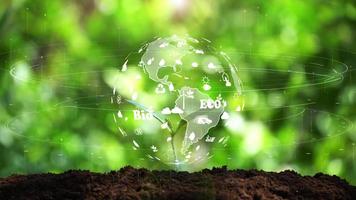 la tierra en un árbol pequeño con holograma de signo de ecología ambiental sobre fondo natural. video