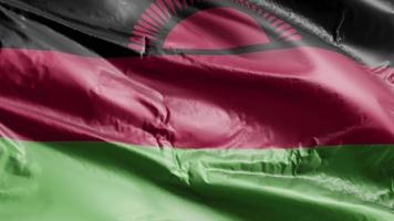 Malawi-Flagge weht auf der Windschleife. Malawi-Banner wiegen sich im Wind. voll ausfüllender Hintergrund. 10 Sekunden Schleife. video