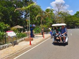 Nakhon Ratchasima Zoo Nakhon Ratchasima THAILAND09 MARCH 2019Tourists rent bicycles or golf carts and walk all the way to watch animals.on Nakhon Ratchasima THAILAND09 MARCH 2019. photo