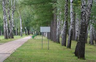 blank sign in the park by the path on the background of trees photo