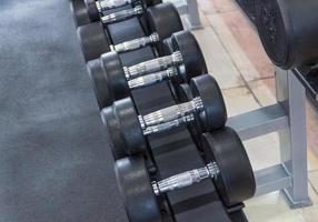 row of dumbbells in a modern gym photo