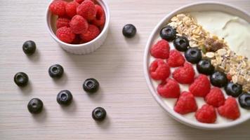tigela de iogurte caseiro com framboesa, mirtilo e granola - estilo de comida saudável video