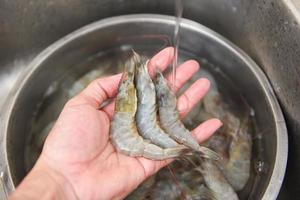 raw shrimps on hand washing shrimp on bowl at the sink, fresh shrimp prawns for cooking seafood food in the kitchen photo