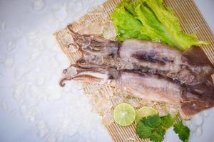 Squid on ice, Fresh raw squid with lettuce vegetable salad seafood coriander lemon lime on white plate background photo