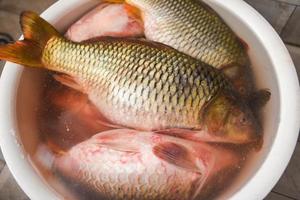 Carp fish, Fresh raw fish on basin for cooked food and dark background, common carp freshwater fish market photo