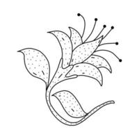 icono de flor dibujada a mano en estilo garabato. icono de vector de flor de dibujos animados para diseño web aislado sobre fondo blanco.