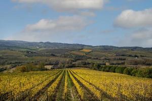 una vista de la campiña toscana con viñedos en primer plano foto