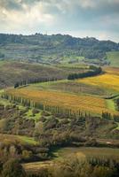 paisaje toscano con viñedos y avenidas de cipreses foto