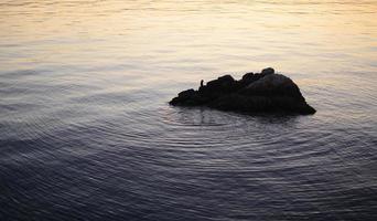 rock that rises isolated in the sea photo