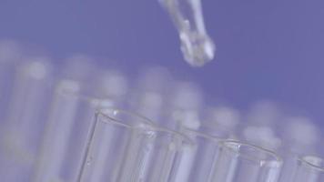 Close up of laboratory scientist working with a pipette analyzes and extract the DNA or molecules in the test tubes.on blur background with virtual interface video