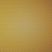 Carbon fiber texture.  Technology abstract background. Vector Design.