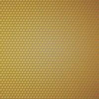 Carbon fiber texture.  Technology abstract background. Vector Design.