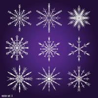 Set 9 white different snowflakes vector