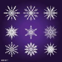 Set 9 white different snowflakes vector